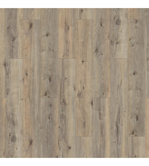 Oak Friday / Дуб Фрайдэй 504022046