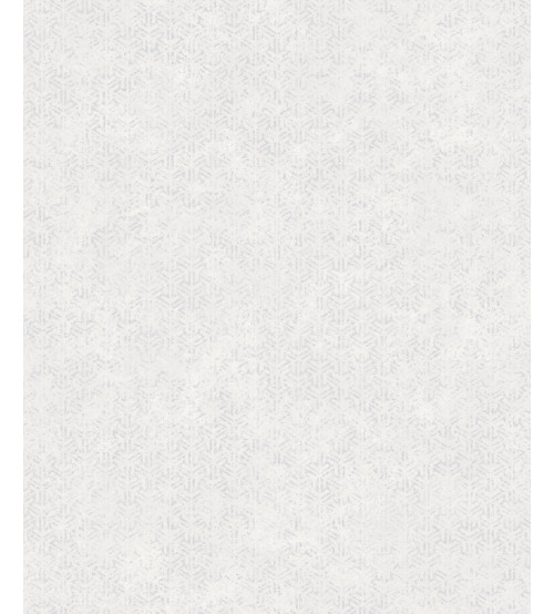 Echo S-21551-2