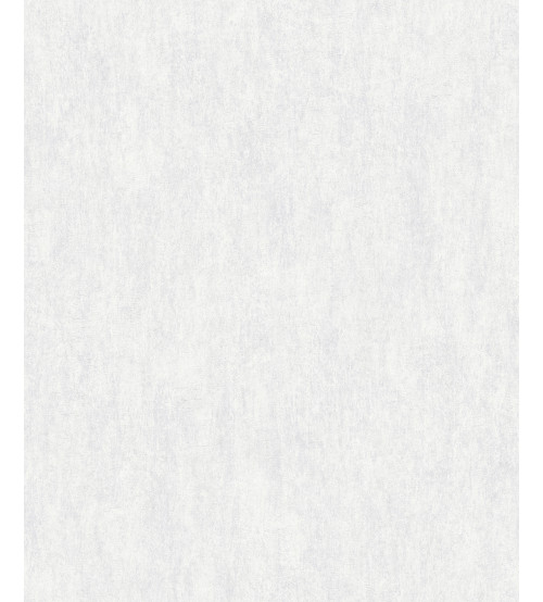 Echo S-21601-1